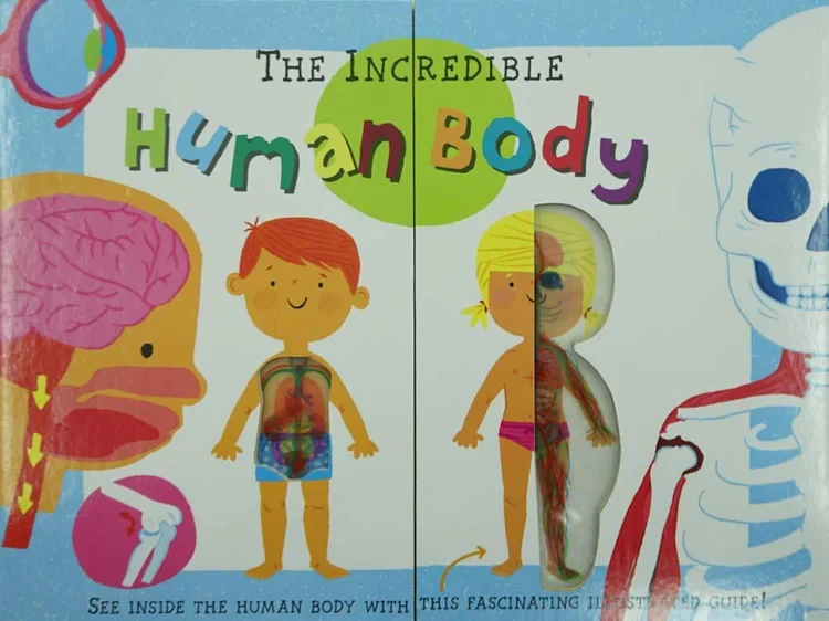 The Incredible Human Body 